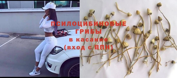 соль ск Новокубанск