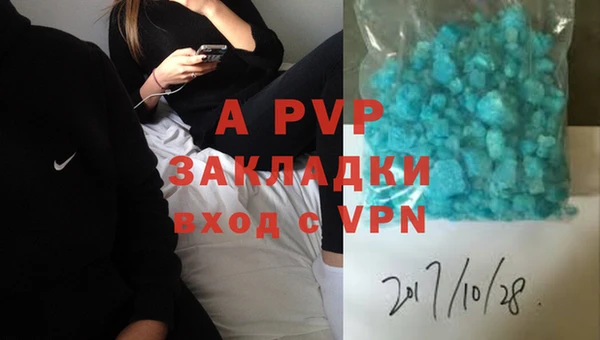 трава Новодвинск