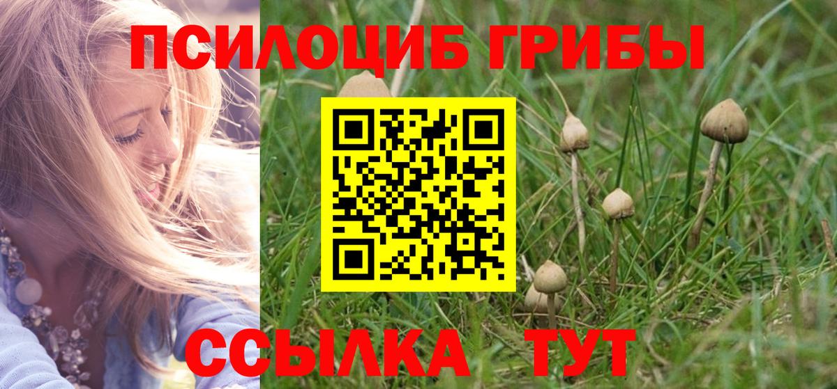 Псилоцибиновые грибы Magic Shrooms Усолье-Сибирское